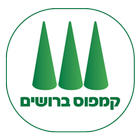 קמפוס ברושים icon