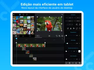 Baixar Cute CUT - Editor de vídeo APK