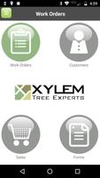 Xylem poster