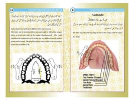 Asaan Tajweed capture d'écran 3