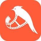 TikTik - Short Video Maker icon