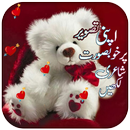 Writing text on photo_Urdu Eng APK