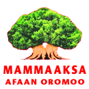 Mammaaksa APK