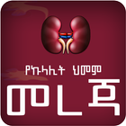 Amharic Kidney Disease icône