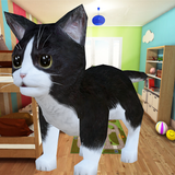 Kitten Cat Craft : Smash Room icône
