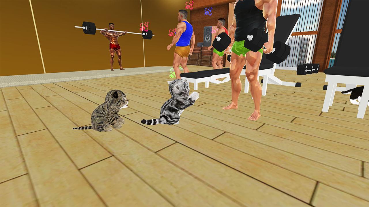 Игра Фэмили кэтс. Kitty Cats Gym game. Игра кошки против