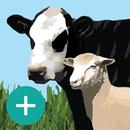 Drought & Supp Feed Calculator APK