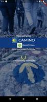 Camino Banovina पोस्टर