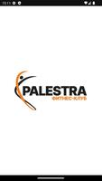 Palestra29 پوسٹر