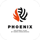 Phoenix club أيقونة