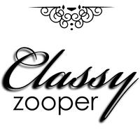 Classy Lite Zooper Widget poster