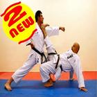 Icona Shotokan Karate