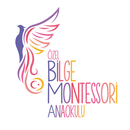 Bilge Montessori Anaokulu APK