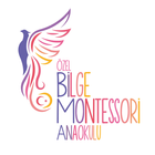 Bilge Montessori Anaokulu-icoon