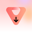 VSave Pro Zeichen