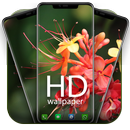 Backgrounds Wallpaper APK