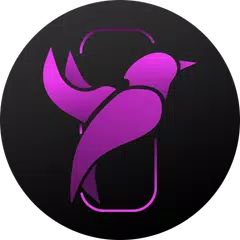 Private browser LavaBird - secret VPN browser XAPK download