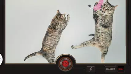 慢動作視訊特效 XAPK 下載