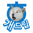 개드립 icon