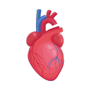 Heart Health Logger APK