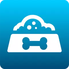 Maginon AFS-1 APK Herunterladen