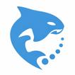 Orca icon