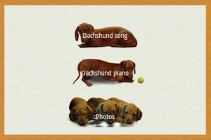 Dachshund triste canción captura de pantalla 1