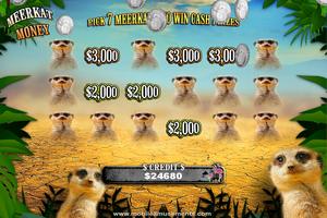 Flamingo Safari Slots captura de pantalla 2