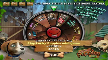Pet Store Puppies Slots XAPK download