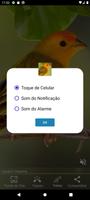 Cantos de Canarios Screenshot 2