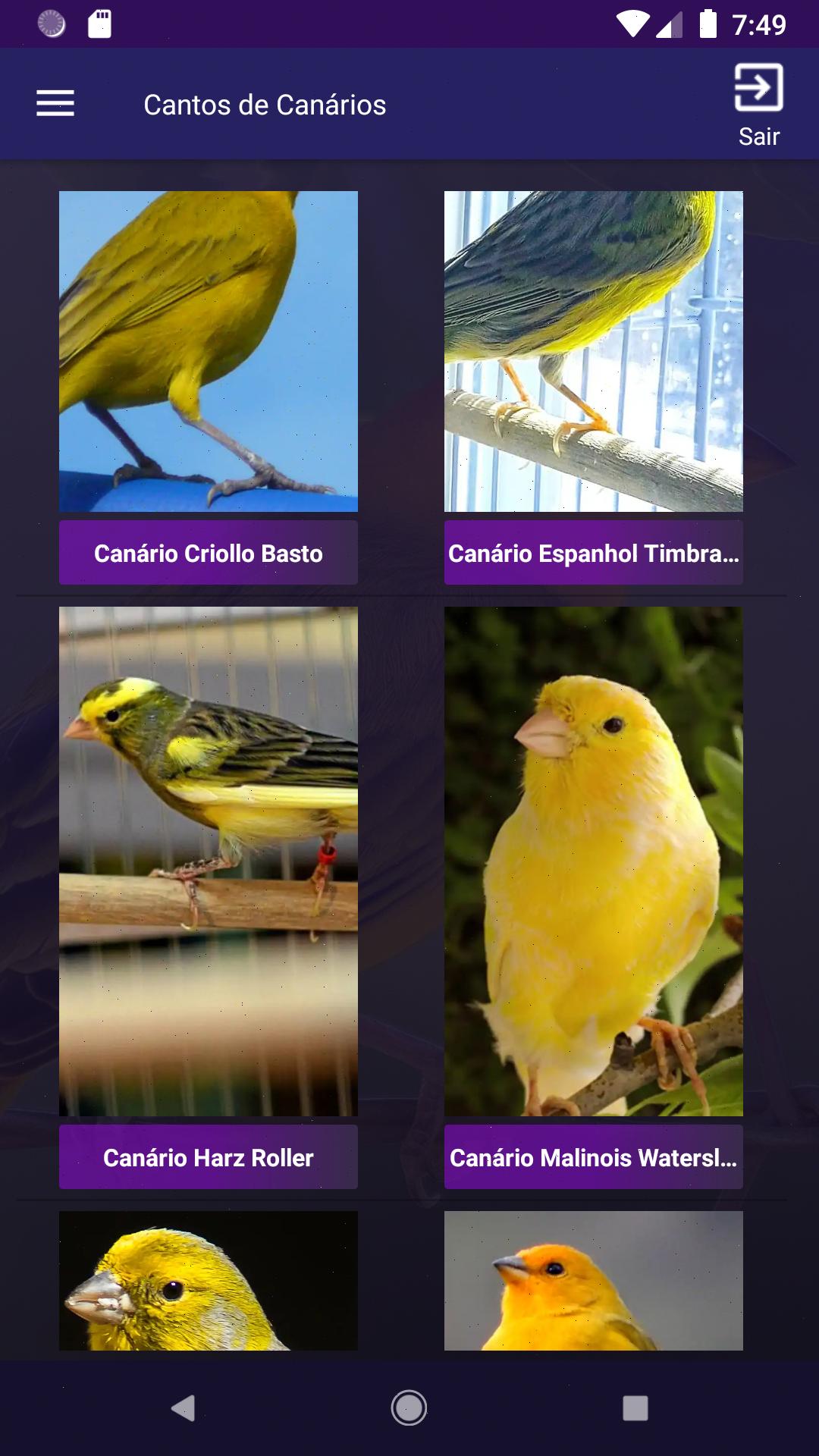 Android canary Android canary
