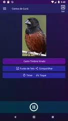 Baixar Cantos de Curió APK