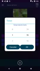 Baixar Cantos de Curió APK