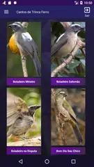 Descargar APK de Cantos de Trinca Ferro