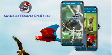 Cantos de Pássaros Brasileiros