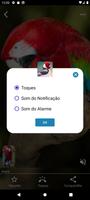 Cantos de Passaros Offline Screenshot 2