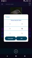 Baixar Cantos de Sabiás APK