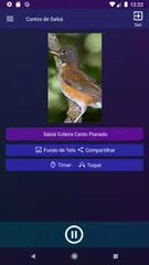 Baixar Cantos de Sabiás APK