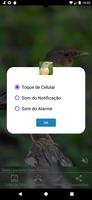 Cantos de Sabiás Screenshot 2