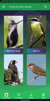 Cantos de Pássaros Silvestres imagem de tela 1