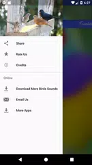 Birdwatching Brazil APK download