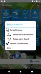 Birdwatching Brazil APK download