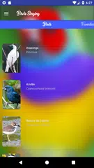 Birdwatching Brazil APK download