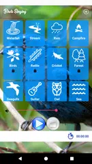 Birdwatching Brazil APK download
