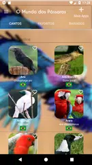 download O Mundo dos Pássaros APK