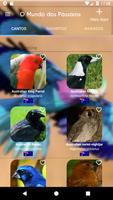 O Mundo dos Pássaros capture d'écran 3
