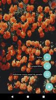 O Mundo das Flores ảnh chụp màn hình 3