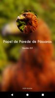 HQ Papel de Parede de Pássaros bài đăng