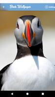 HQ Birds Wallpaper screenshot 3