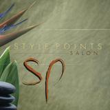 Style Points Salon icône